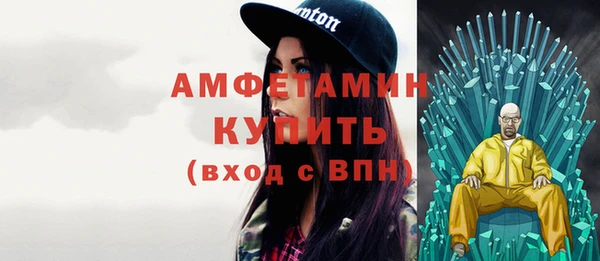 прущие грибы Балабаново