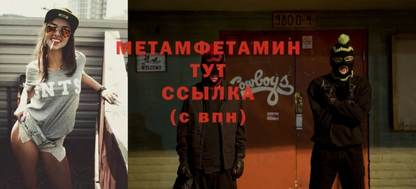 прущие грибы Балабаново