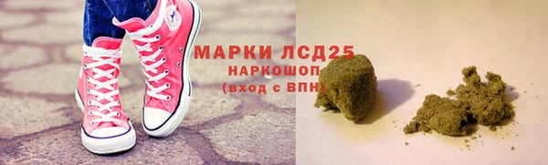 прущие грибы Балабаново