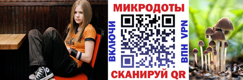 Галлюциногенные грибы прущие грибы  Купить  Заволжск 