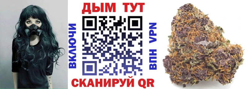 Купить закладки  Заволжск  Каннабис Amnesia 